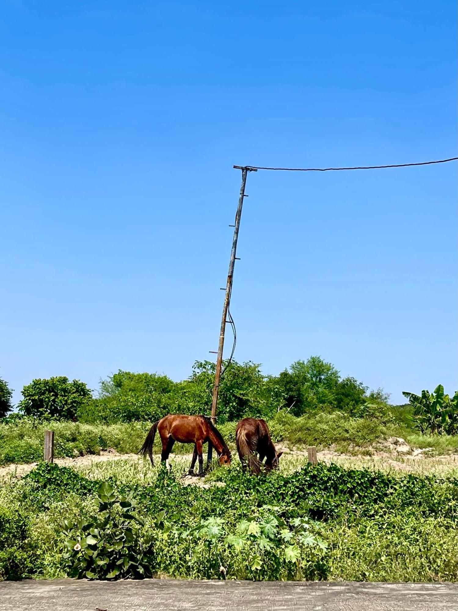 Hotel Tekri Farms And Retreat Udždžain Exteriér fotografie